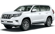 Модельные чехлы на TOYOTA LAND CRUISER PRADO 2009/9-2021/7гг.