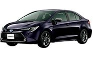 Модельные чехлы на TOYOTA COROLLA HYBRID 2019/9-н.вр.